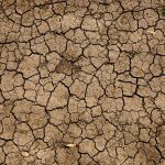 drought photo by mike erskine on unsplash