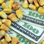 BURST OF USDA TOP UP PANDEMIC PAYMENTS TO FARMERS