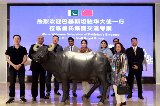 Chinese dairy company steps up co op with Pakistans buffalo breeding industry