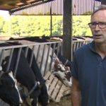 HGV driver shortage Stafford farmer told to dump milk