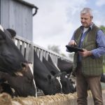 Rabobank Rising costs of inputs could pose a threat to dairy farmers wrbm large