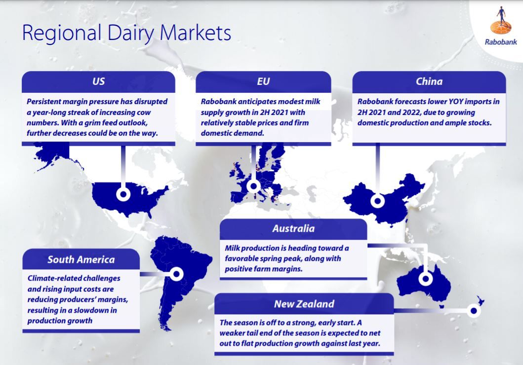 Regional dairy market