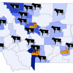 Audit says Montana milk regulations do not reflect market trends could hurt dairy farmers