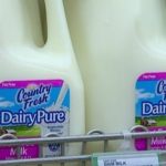 Country Fresh dairy products to increase