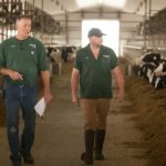 Cow Power Helps Dairy Farm Run On Renewable Energy