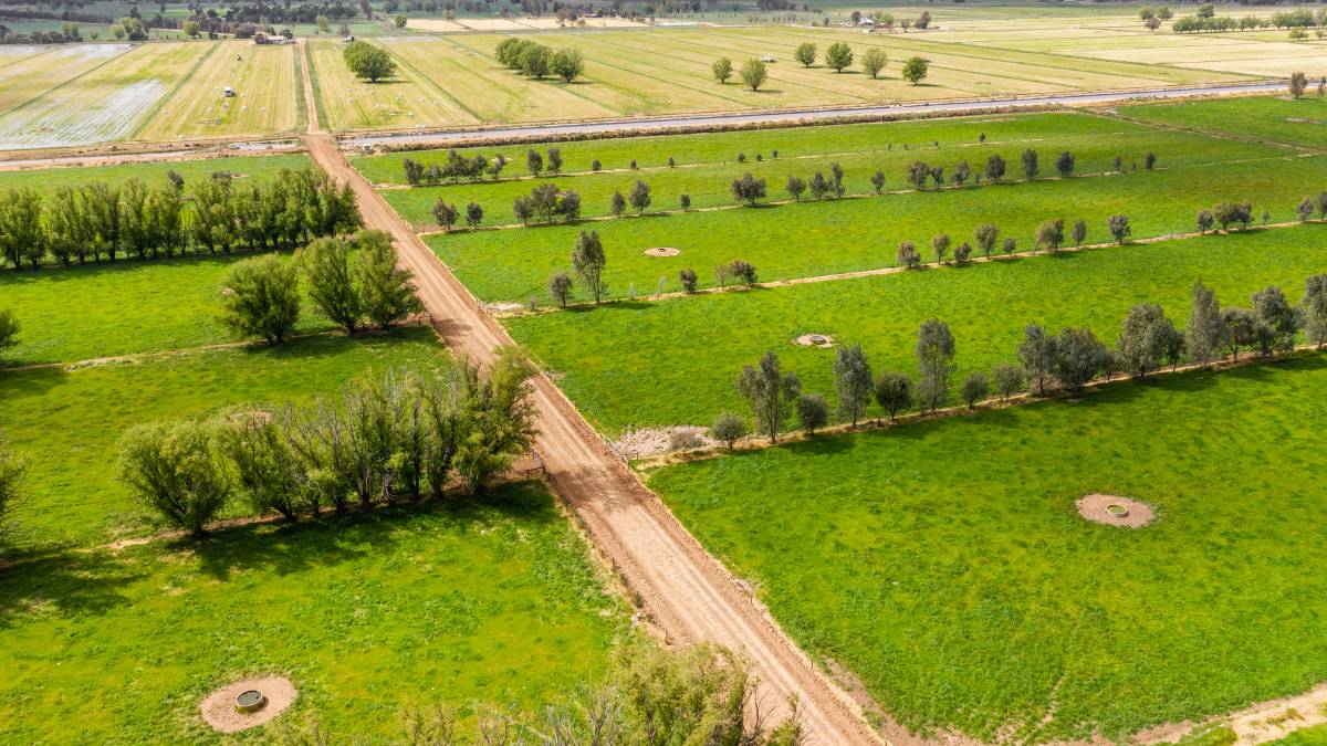 Dairy farming familys difficult decision to sell 1