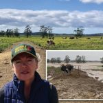 Flood recovery for Mid North Coast dairy farmer