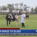 From grass to glass one Southeast Alabama farm is providing organic dairy products for the nation