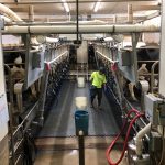 Its been a more typical year for dairy farmers with less volatile milk prices