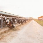 U.S. Dairy Industry Publishes Biennial Sustainability Report