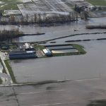 As Whatcom begins flood recovery work dairy farms need help getting feed to cows