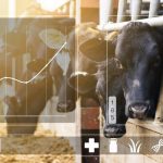 Connecterra looks to create sustainable farming models wrbm large