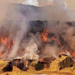 Dairy farm loses 400 tons of hay in Utah County fire