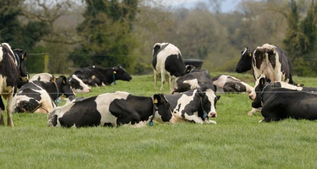 Farmers need the right incentives to reduce emissions