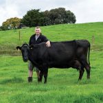 Sharing milk with the cows