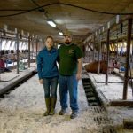 Tunbridge dairy farmers sue telecom companies after wires left in fields sickened cows