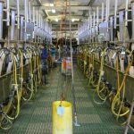 Wisconsin dairy industry needs reform amid COP26 calls to fight climate change