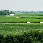 Wright County farmer to lead Minnesota Farm Bureau