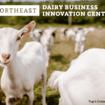 6.1 Million in Funding for Northeast Dairy Business Innovation Center to Benefit Farms and Processors