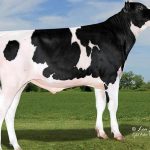 Component milk pricing will be a major talking point this year