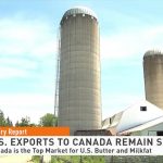 Dairy Report Exports to Canada Continue to Rise