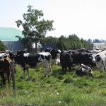 Government of Canada boosts dairy supply chain company