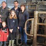 How one dairy farm installed robots to cut down milking time