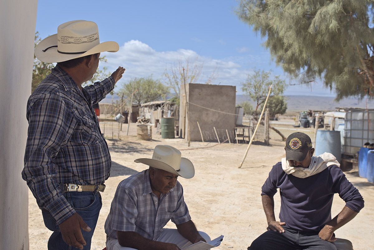 Mexicos Dairy Industry Is Destroying An Oasis That May Hold the Key to the Origins of Life4