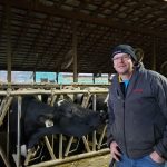 Okanagan dairy farmers dumping milk struggling to find processors