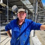 Sustainable farming systems put to the test at university dairy