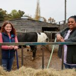 This Mornings Alison Hammond lands new job at Gloucestershire farm