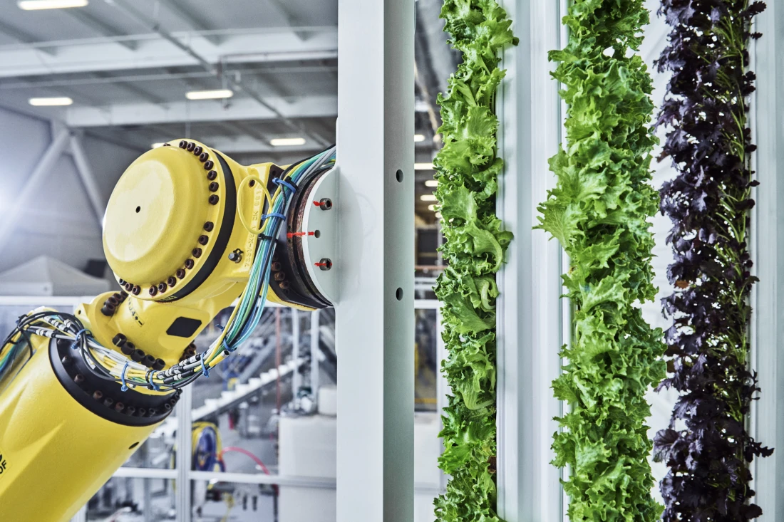 A robot harvest at a vertical farm in the US Spencer Lowell/Plenty/Courtesy of Walmart via AP