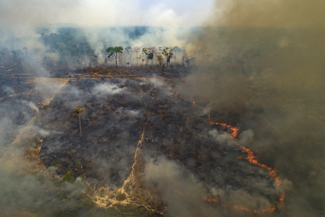 Large areas of the Amazon rainforest in Brazil have been burnt due to land-clearing for farming. AP