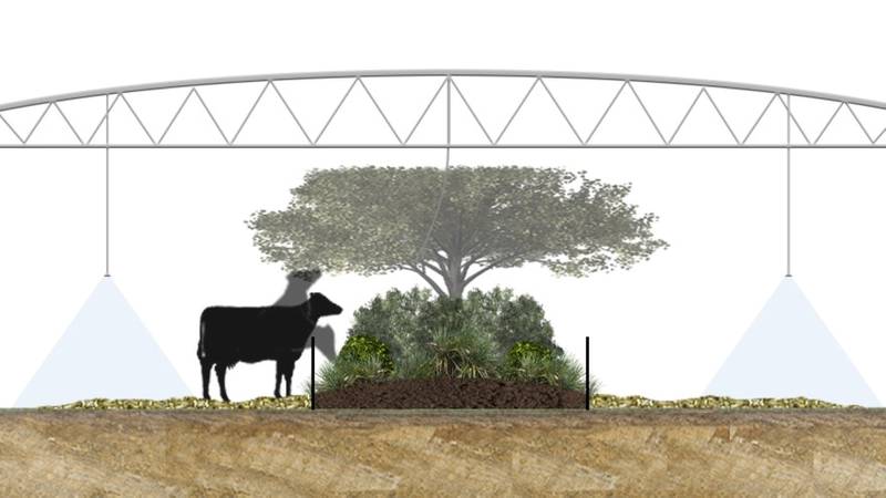 The planting of rows of trees and shrubs will see entire paddocks transformed. (Source: 1News)