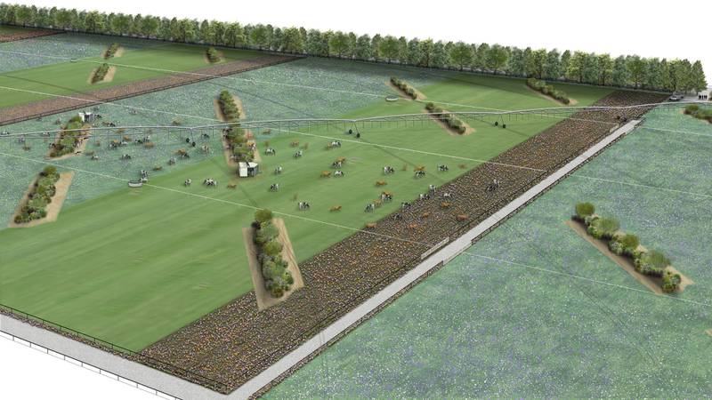 The paddock will be planted out in different strips of feed to target different results. (Source: 1News)