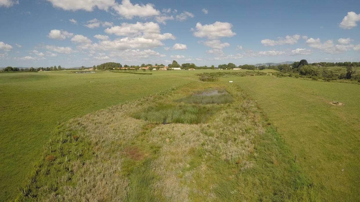 OWL FARMDuring Bennett’s involvement with OWL Farm at St Peter’s School, a wetland was built that reduced emissions (file photo).