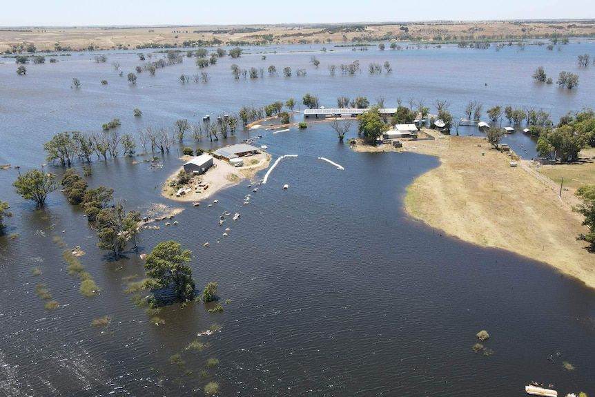 The Smart family say the flood has forced their hand and they plan to sell.