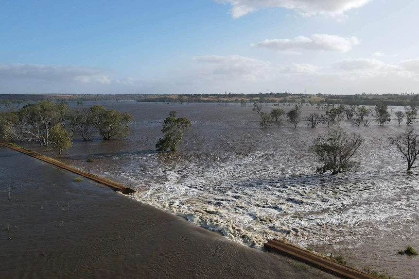 A levee breach was the main cause of inundation to the Smart family's dairy farm.