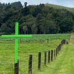 Green crosses on roadside fences mark pushback against farming regulations