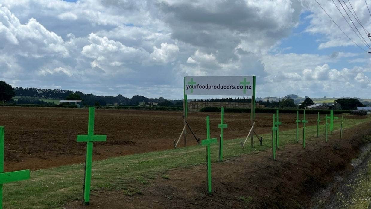 SUPPLIEDYour Food Producers sign and green crosses on Buckland Rd, Tuakau.