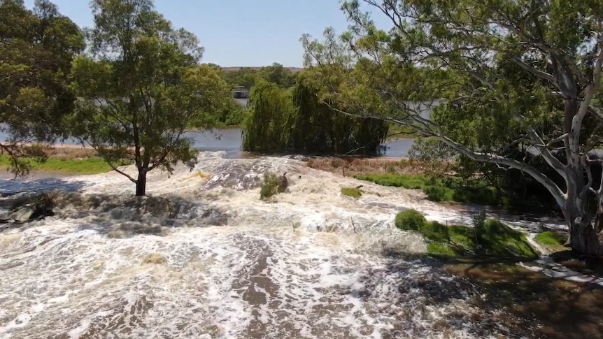 Water flowing through the levee breach at Wall Flat.