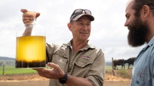 Tasmanian farmer Richard Gardner, left, is trialling asparagopsis seaweed for Fonterra in the hope it will reduce methane emissions. He is pictured with Sam Elsom from Tasmanian seaweed producer Sea Forest.