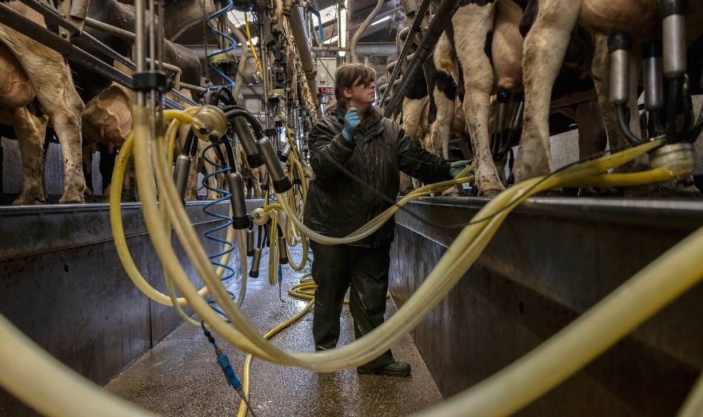 Shoppers face milk shortages (Image: Getty)