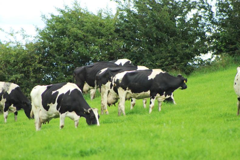 Dairy farmers hunting additional leased land this year has pushed up the price of rental ground.