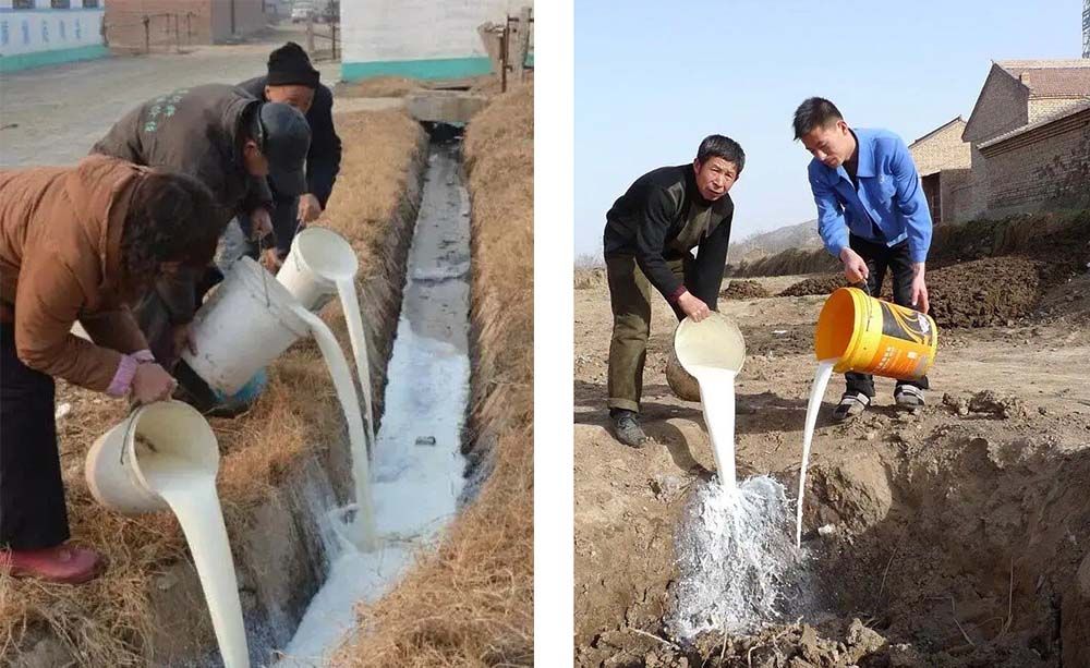 Diary farmers pour milk in Suzhou, Anhui province, January 2023. From @第一合肥 on Weibo