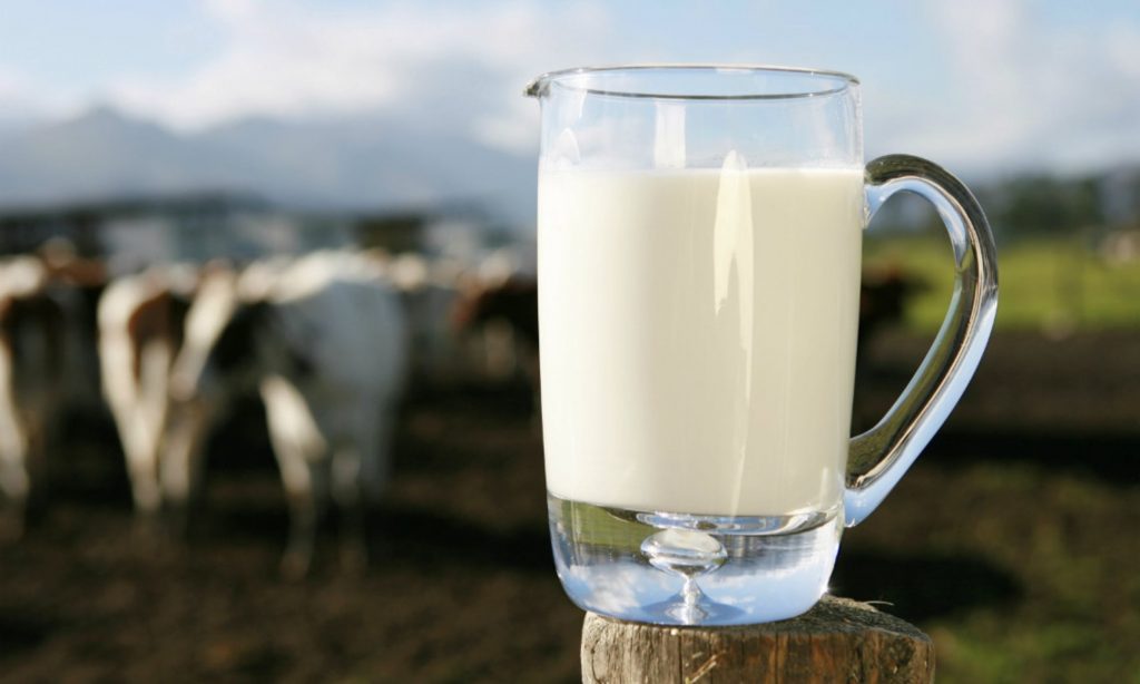 raw milk