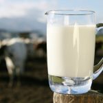 raw milk