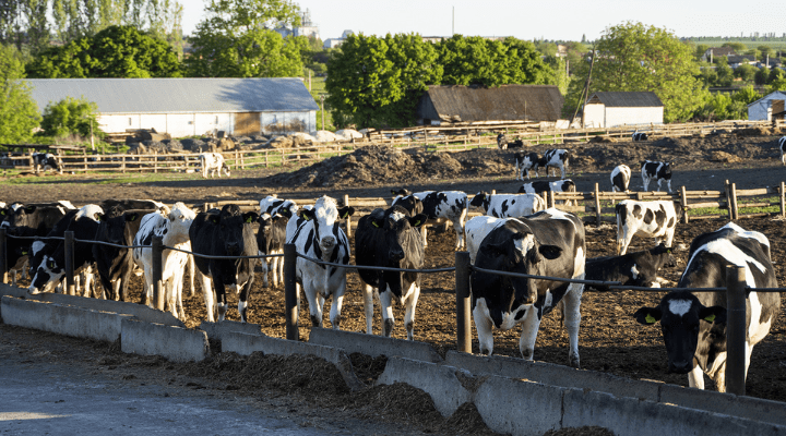 Bega relocates fresh milk manufacturing to Penrith