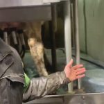 Jerry Huigen received criticism from other dairy farmers after he posted a video about dumping milk.