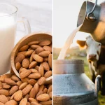 The U.S. Food and Drug Administration is proposing that plant-based milk manufacturers should be permitted to call their products "milk" despite its zero-dairy content.